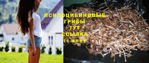 МДПВ Аркадак
