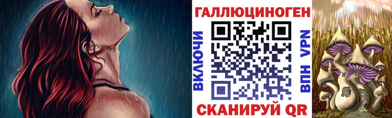 как найти закладки  Чусовой  Галлюциногенные грибы мицелий 
